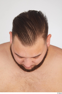 Ronaldo Biggato bearded head 0019.jpg